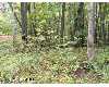 Click here to View Real Estate near 2031 west echo White Cloud, Mi 49349 homes near 2031 west echo White Cloud, Mi 49349