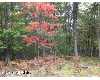 Click here to View Real Estate near 4066 north irons road Irons, MI 49644 homes near 4066 north irons road Irons, MI 49644