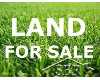 Click here to View Real Estate near 3640 fenmore rd Merrill, MI 48637 homes near 3640 fenmore rd Merrill, MI 48637