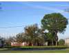 Click here to View Real Estate near 3621 plaza dr CHALMETTE, LA 70043 homes near 3621 plaza dr CHALMETTE, LA 70043