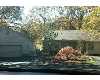 Click here to View Real Estate near 804 williams st Kings Mountain, NC 28086 homes near 804 williams st Kings Mountain, NC 28086
