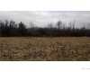 Click here to View Real Estate near 380 silman FERNDALE, MI 48022 homes near 380 silman FERNDALE, MI 48022