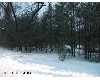 Click here to View Real Estate near 8655 byrne Holton, MI 49425 homes near 8655 byrne Holton, MI 49425