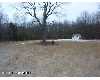 Click here to View Real Estate near 12288 - 18 mile Gowen, MI 49326 homes near 12288 - 18 mile Gowen, MI 49326
