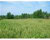 Click here to View Real Estate near 2016 bristol Imlay City, MI 48444 homes near 2016 bristol Imlay City, MI 48444
