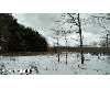 Click here to View Real Estate near 448 ashland st Twin Lake, MI 49457 homes near 448 ashland st Twin Lake, MI 49457