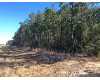 Click here to View Real Estate near 610 5th Avenue Rochelle, GA 31079 homes near 610 5th Avenue Rochelle, GA 31079