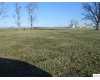 Click here to View Real Estate near 19019 needles rd Custar, OH 43511 homes near 19019 needles rd Custar, OH 43511