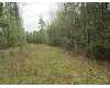 Click here to View Real Estate near 353 knight rd Sumrall, MS 39482 homes near 353 knight rd Sumrall, MS 39482