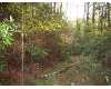 Click here to View Real Estate near 342 old brookfield road Tifton, GA 31794 homes near 342 old brookfield road Tifton, GA 31794