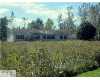 Click here to View Real Estate near 1015 eaton green CHARLOTTE, MI 48813 homes near 1015 eaton green CHARLOTTE, MI 48813