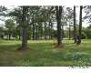 Click here to View Real Estate near 5304 bogue dr Oriental, NC 28571 homes near 5304 bogue dr Oriental, NC 28571