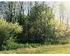 Click here to View Real Estate near 3740 mitchell Elba Township, MI 48446 homes near 3740 mitchell Elba Township, MI 48446