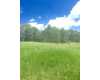 Click here to View Real Estate near 414 east tenth st Adel, GA 31620 homes near 414 east tenth st Adel, GA 31620