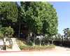 Click here to View Real Estate near 1432 barrington way Glendale, CA 91206 homes near 1432 barrington way Glendale, CA 91206