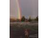 Click here to View Real Estate near 5205 sw parrish lane Powell Butte, OR 97753 homes near 5205 sw parrish lane Powell Butte, OR 97753