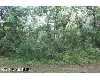 Click here to View Real Estate near harris road parcel c Wellston, MI 49689 homes near harris road parcel c Wellston, MI 49689