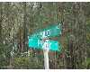 Click here to View Real Estate near 3154 fox run dr Kindston, NC 28504 homes near 3154 fox run dr Kindston, NC 28504