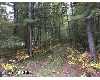 Click here to View Real Estate near harris road parcel c Wellston, MI 49689 homes near harris road parcel c Wellston, MI 49689