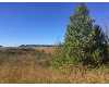 Click here to View Real Estate near 2125 hwy 11 Niota, TN 37826 homes near 2125 hwy 11 Niota, TN 37826