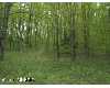 Click here to View Real Estate near 9511 west 30 road Harrietta, MI 49638 homes near 9511 west 30 road Harrietta, MI 49638