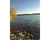 Click here to View Real Estate near 0000 lukens ONEKAMA, MI 49614 homes near 0000 lukens ONEKAMA, MI 49614