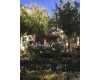 Click here to View Real Estate near 12821 zinnea Avenue Chino, CA 91710 homes near 12821 zinnea Avenue Chino, CA 91710