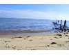 Click here to View Real Estate near 1301 west lee st PENSACOLA, FL 32501 homes near 1301 west lee st PENSACOLA, FL 32501