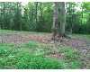 Click here to View Real Estate near 341 wallace rd Ellenboro, NC 28040 homes near 341 wallace rd Ellenboro, NC 28040