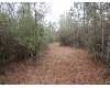 Click here to View Real Estate near 353 knight rd Sumrall, MS 39482 homes near 353 knight rd Sumrall, MS 39482