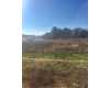 Click here to View Real Estate near 108 ridge road Ocilla, GA 31774 homes near 108 ridge road Ocilla, GA 31774