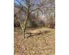 Click here to View Real Estate near 5976 lexie lane Bay City, MI 48706 homes near 5976 lexie lane Bay City, MI 48706