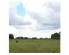 Click here to View Real Estate near 1005 Babson Park, FL 33827 homes near 1005 Babson Park, FL 33827