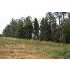 233 Phantom Buck Cir, Falls of Rough, KY - MLS 48175