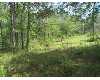 Click here to View Real Estate near 620 east college Avenue Wiggins, MS 39577 homes near 620 east college Avenue Wiggins, MS 39577