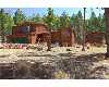 Click here to View Real Estate near 725 east northwoods dr Woodland Park, CO 80863 homes near 725 east northwoods dr Woodland Park, CO 80863