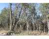 Click here to View Real Estate near 8801 west 8 mile road Irons, MI 49644 homes near 8801 west 8 mile road Irons, MI 49644