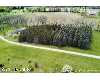 Click here to View Real Estate near lot 3 snow ridge Alto, MI 49302 homes near lot 3 snow ridge Alto, MI 49302
