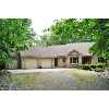 Grand Ledge Real Estate