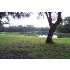 78 Tomotley Barony Rd, Sheldon, SC - MLS 112896