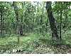 Click here to View Real Estate near 8801 west 8 mile road Irons, MI 49644 homes near 8801 west 8 mile road Irons, MI 49644