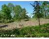 Click here to View Real Estate near 4564 north m-37 Luther, MI 49656 homes near 4564 north m-37 Luther, MI 49656