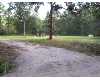 Click here to View Real Estate near 414 east tenth st Adel, GA 31620 homes near 414 east tenth st Adel, GA 31620
