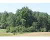 Click here to View Real Estate near 4564 north m-37 Luther, MI 49656 homes near 4564 north m-37 Luther, MI 49656