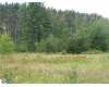 Click here to View Real Estate near 219 9th Avenue Tawas City, MI 48763 homes near 219 9th Avenue Tawas City, MI 48763