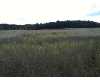 Click here to View Real Estate near kings highway Chase, MI 49623 homes near kings highway Chase, MI 49623