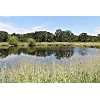 Lot 39 County Rd 2027