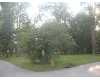 Click here to View Real Estate near 1887 ac beavers road Rocky Face, GA 30741 homes near 1887 ac beavers road Rocky Face, GA 30741