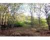 Click here to View Real Estate near 5506 west 72nd Fremont, Mi 49412 homes near 5506 west 72nd Fremont, Mi 49412
