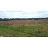 PINEY GROVE ROAD